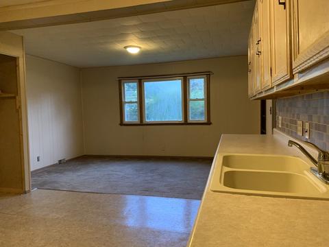 409 E Center St, Mount Morris, IL 61054 photo 8