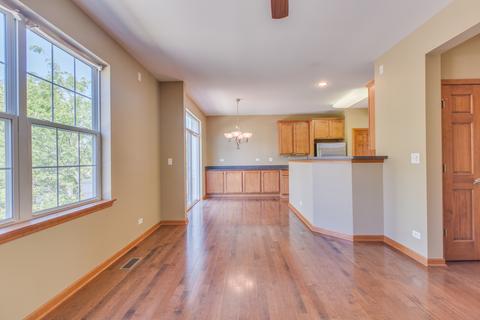 3045 Marion St, Elgin, IL 60124 photo 11