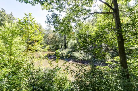 6 Turtle Pointe Rd, Monticello, IL 61856 photo 11
