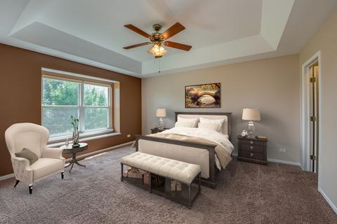 24955 Madison St, Plainfield, IL 60544 photo 18
