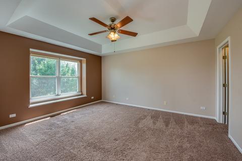 24955 Madison St, Plainfield, IL 60544 photo 19