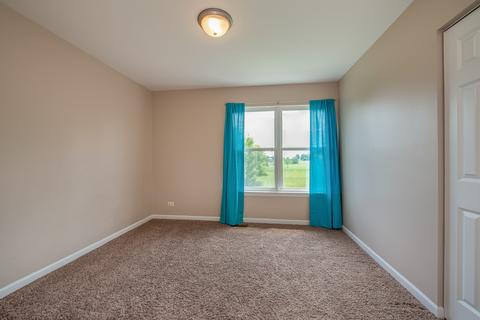 24955 Madison St, Plainfield, IL 60544 photo 23