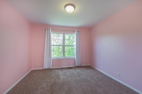 24955 Madison St, Plainfield, IL 60544 photo 24