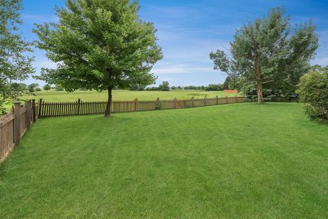 24955 Madison St, Plainfield, IL 60544 photo 29