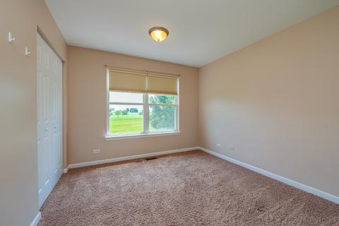 24955 Madison St, Plainfield, IL 60544 photo 22