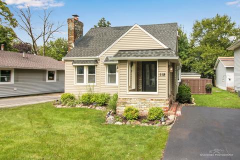 118 E Pineview Dr, Round Lake Park, IL 60073 photo 23