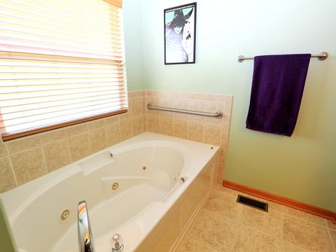 864 Eineke Blvd, Algonquin, IL 60102 photo 22