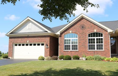 864 Eineke Blvd, Algonquin, IL 60102 photo 1