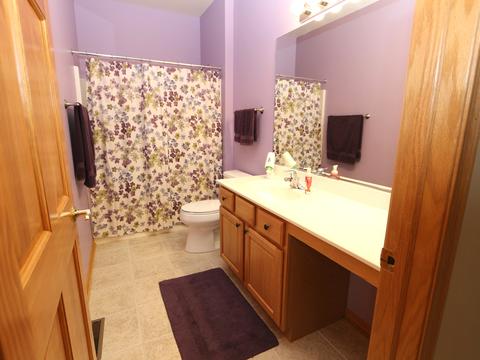 864 Eineke Blvd, Algonquin, IL 60102 photo 16