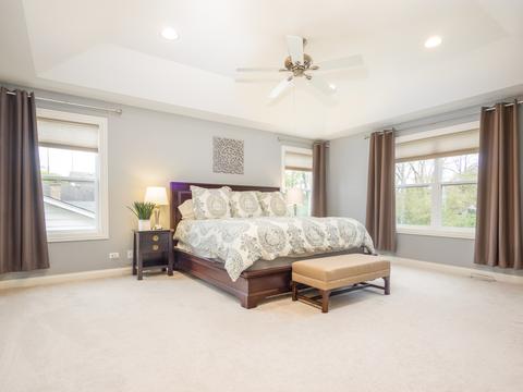 902 Crest St, Wheaton, IL 60189 photo 19