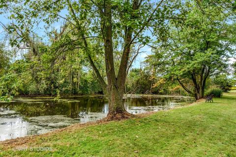 29560 State Line Rd, Beecher, IL 60401 photo 20