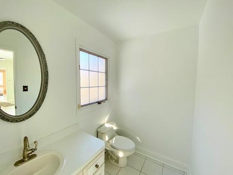 22 Danube Way, Olympia Fields, IL 60461 photo 21