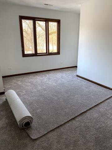 22 Danube Way, Olympia Fields, IL 60461 photo 23