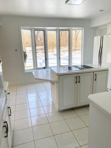 22 Danube Way, Olympia Fields, IL 60461 photo 13