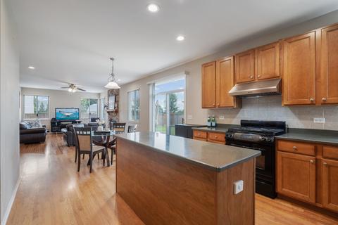 14707 Independence Dr, Plainfield, IL 60544 photo 9
