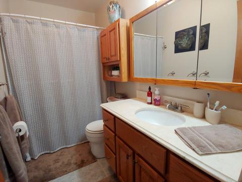 698 Shenandoah Trl, Elgin, IL 60123 photo 25