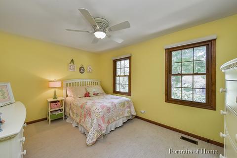 768 S River Rd, Naperville, IL 60540 photo 19