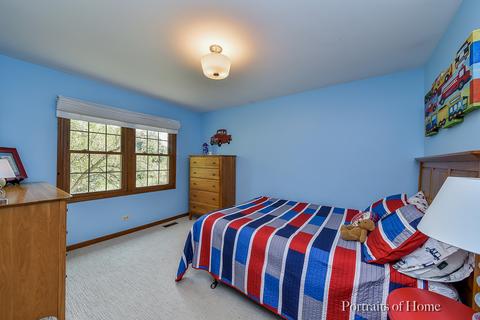768 S River Rd, Naperville, IL 60540 photo 20