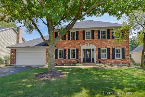 768 S River Rd, Naperville, IL 60540 photo 1