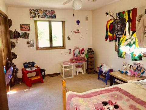 508 Short St, Cornell, IL 61319 photo 10