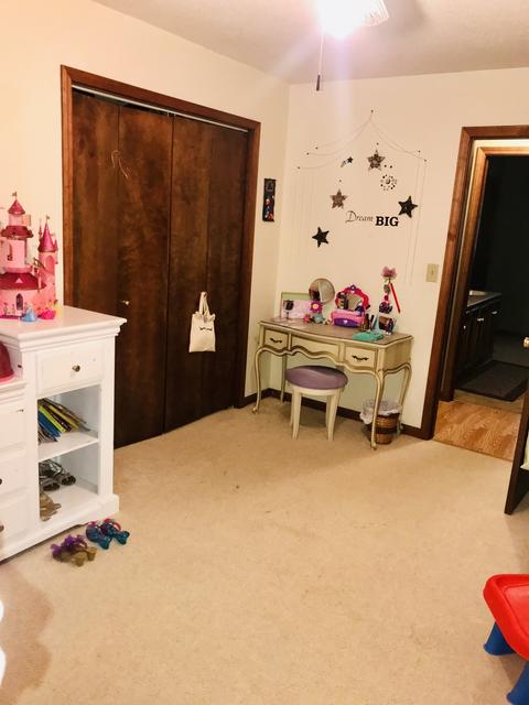 508 Short St, Cornell, IL 61319 photo 8