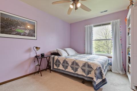 145 Dickens Trl, Elgin, IL 60120 photo 21