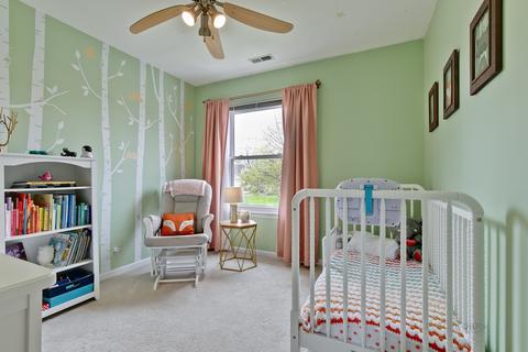 145 Dickens Trl, Elgin, IL 60120 photo 19