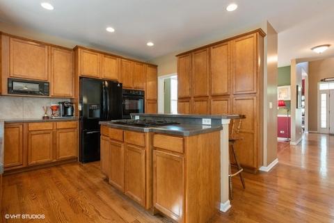 1407 Blume Dr, Elgin, IL 60124 photo 7