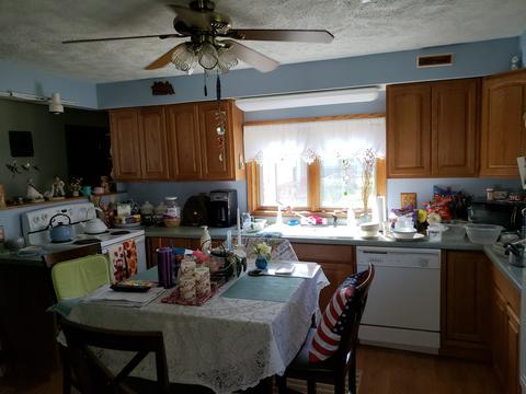 301 E 1st St, Leaf River, IL 61047 photo 5