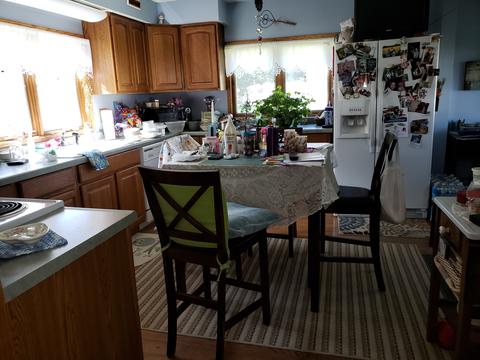 301 E 1st St, Leaf River, IL 61047 photo 3