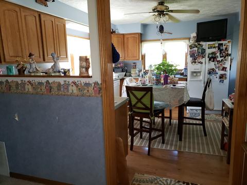 301 E 1st St, Leaf River, IL 61047 photo 4