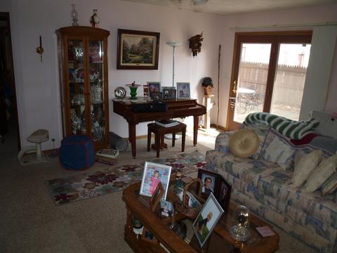 301 E 1st St, Leaf River, IL 61047 photo 11