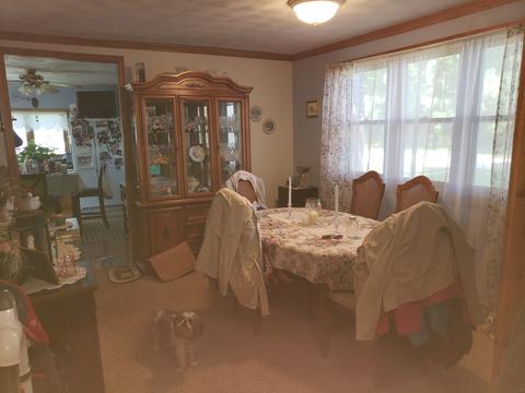 301 E 1st St, Leaf River, IL 61047 photo 6
