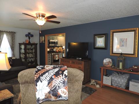 301 Adams St, Danforth, IL 60930 photo 3