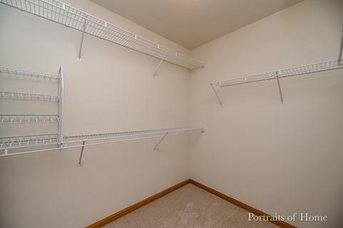 21448 W Larch Dr, Plainfield, IL 60544 photo 17