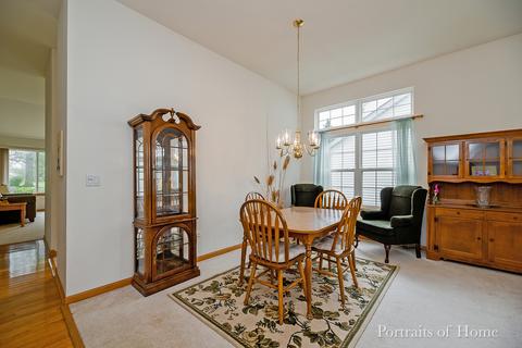 21448 W Larch Dr, Plainfield, IL 60544 photo 7