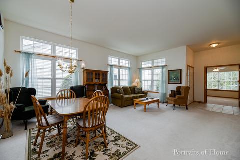 21448 W Larch Dr, Plainfield, IL 60544 photo 5