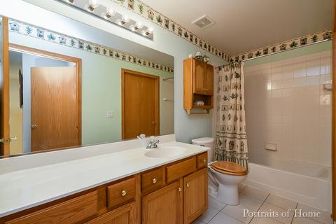 21448 W Larch Dr, Plainfield, IL 60544 photo 19