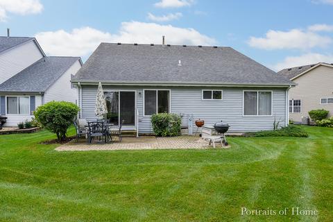 21448 W Larch Dr, Plainfield, IL 60544 photo 23