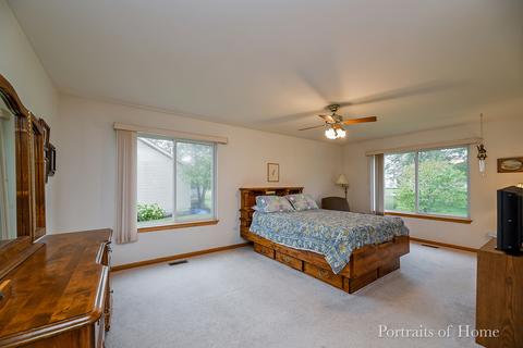 21448 W Larch Dr, Plainfield, IL 60544 photo 15