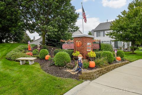21448 W Larch Dr, Plainfield, IL 60544 photo 24