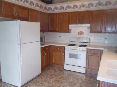 5426 W Cherry Ln, Monee, IL 60449 photo 5