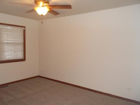 5426 W Cherry Ln, Monee, IL 60449 photo 13