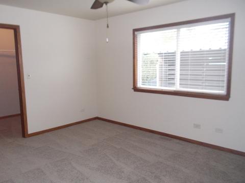 5426 W Cherry Ln, Monee, IL 60449 photo 9