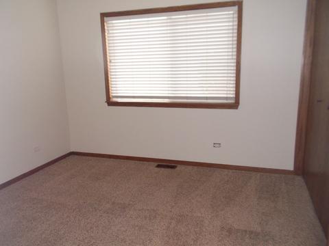 5426 W Cherry Ln, Monee, IL 60449 photo 12