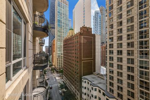 10 E Delaware Pl #14D, Chicago, IL 60611 photo 11