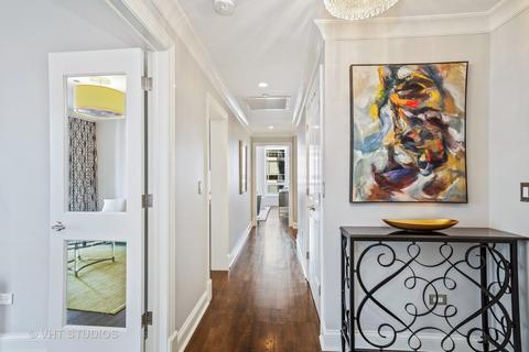 10 E Delaware Pl #14D, Chicago, IL 60611 photo 4