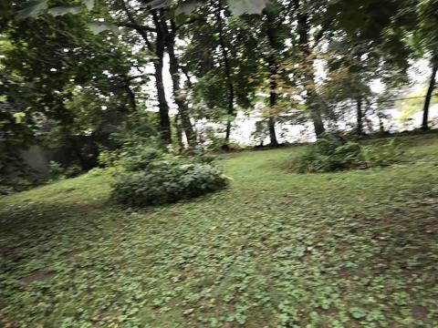 515 E Fellows St, Dixon, IL 61021 photo 20