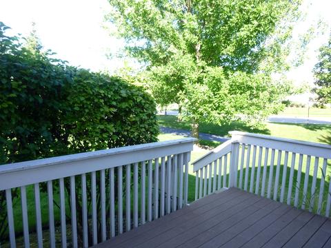 5 Brixton Ct, Algonquin, IL 60102 photo 24