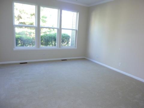 5 Brixton Ct, Algonquin, IL 60102 photo 12